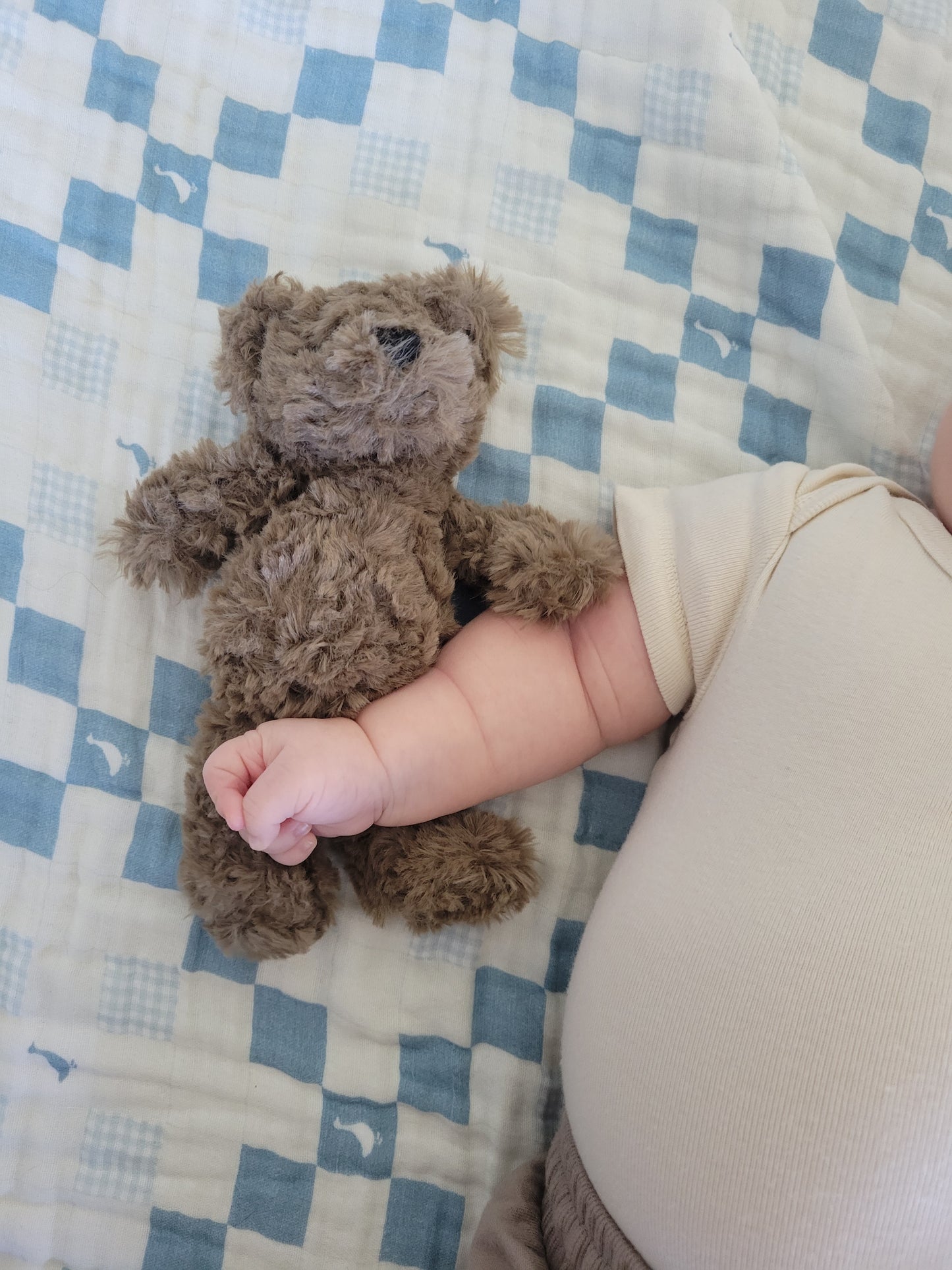 Mini Benny the Bear Rattle