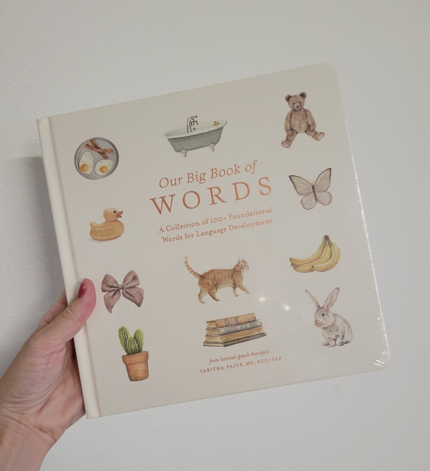 Our Big Book of Words