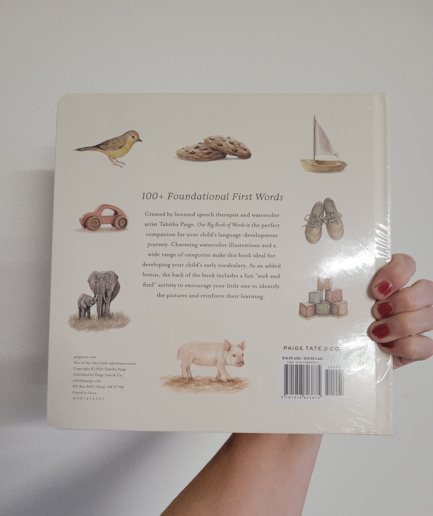 Our Big Book of Words