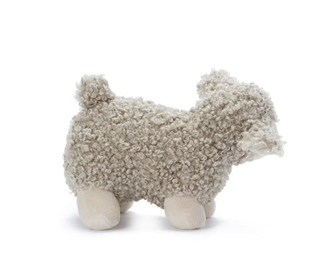 Lucy the Lamb
