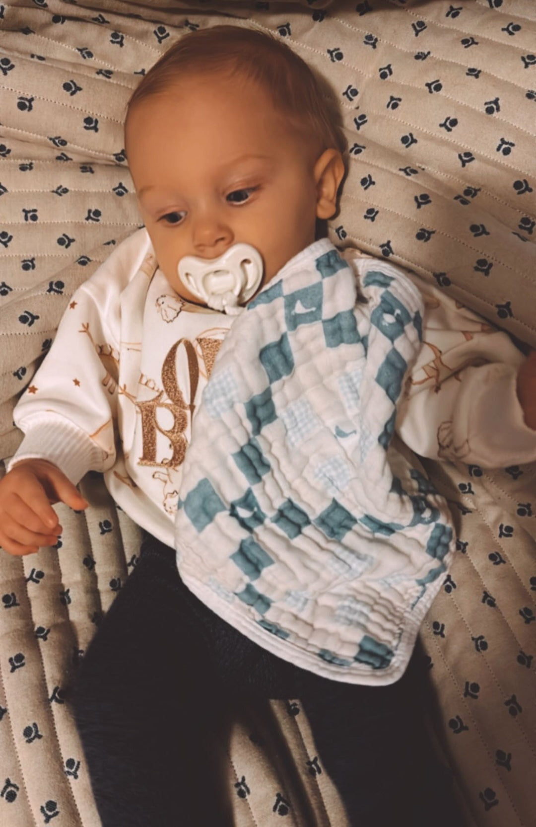 Multi-use Cloths- Grandma's Goose Quilt