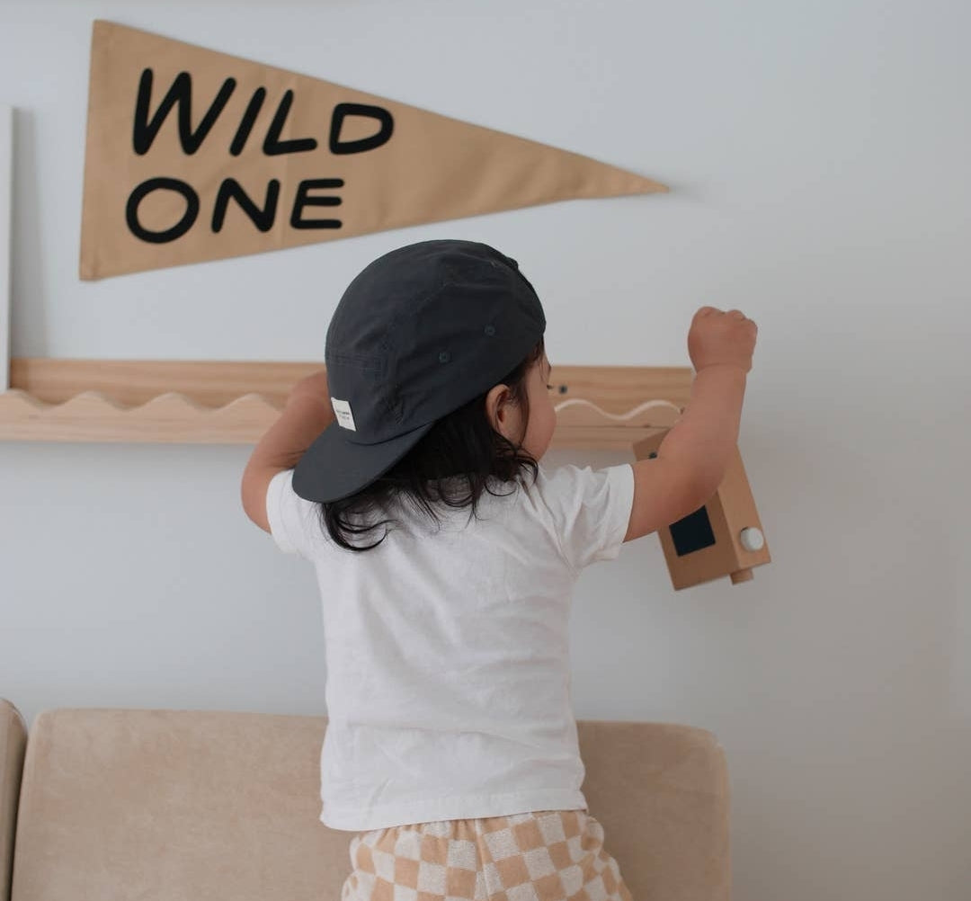 Wild One Pennant