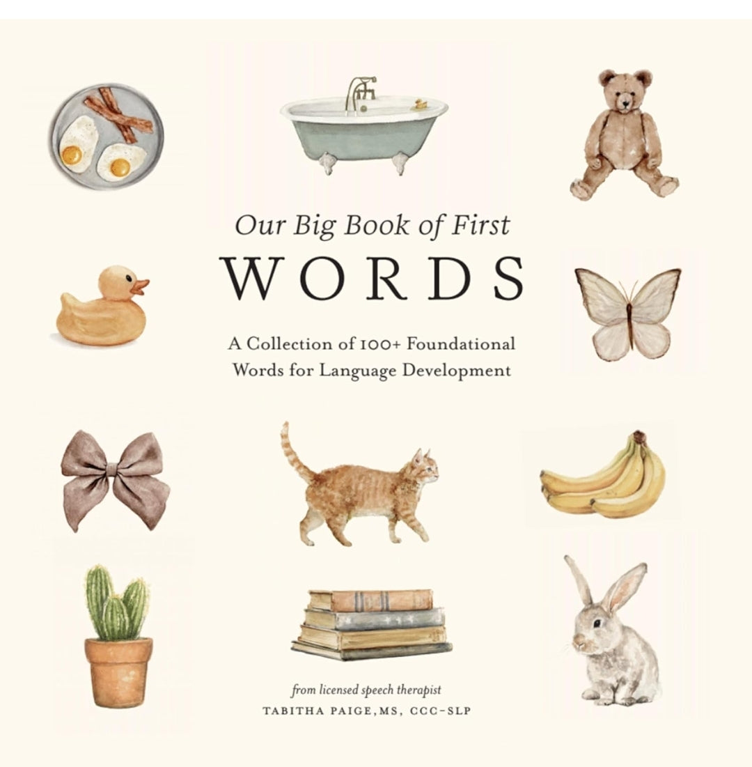 Our Big Book of Words
