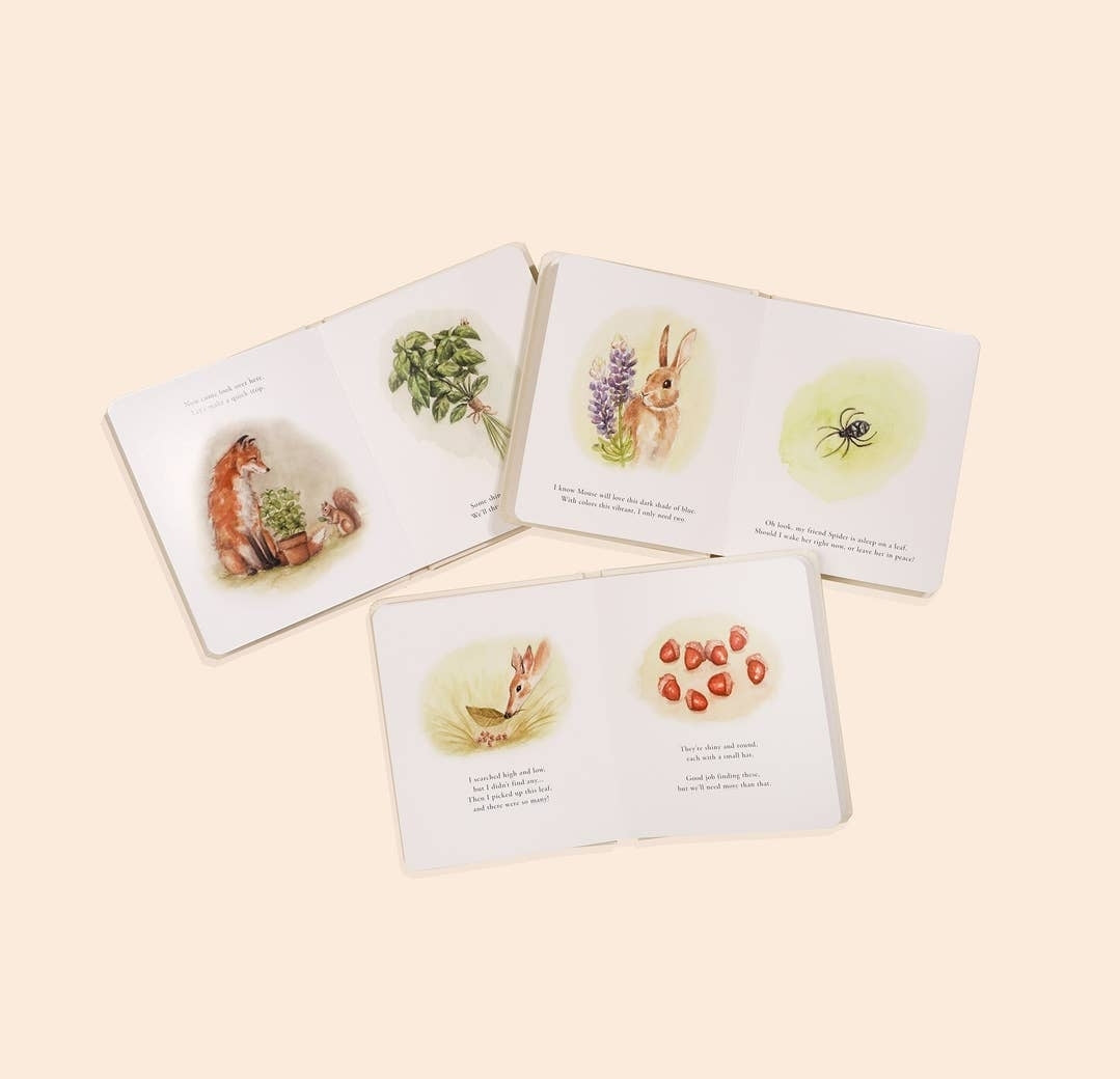 Our Little Adventures Book Set