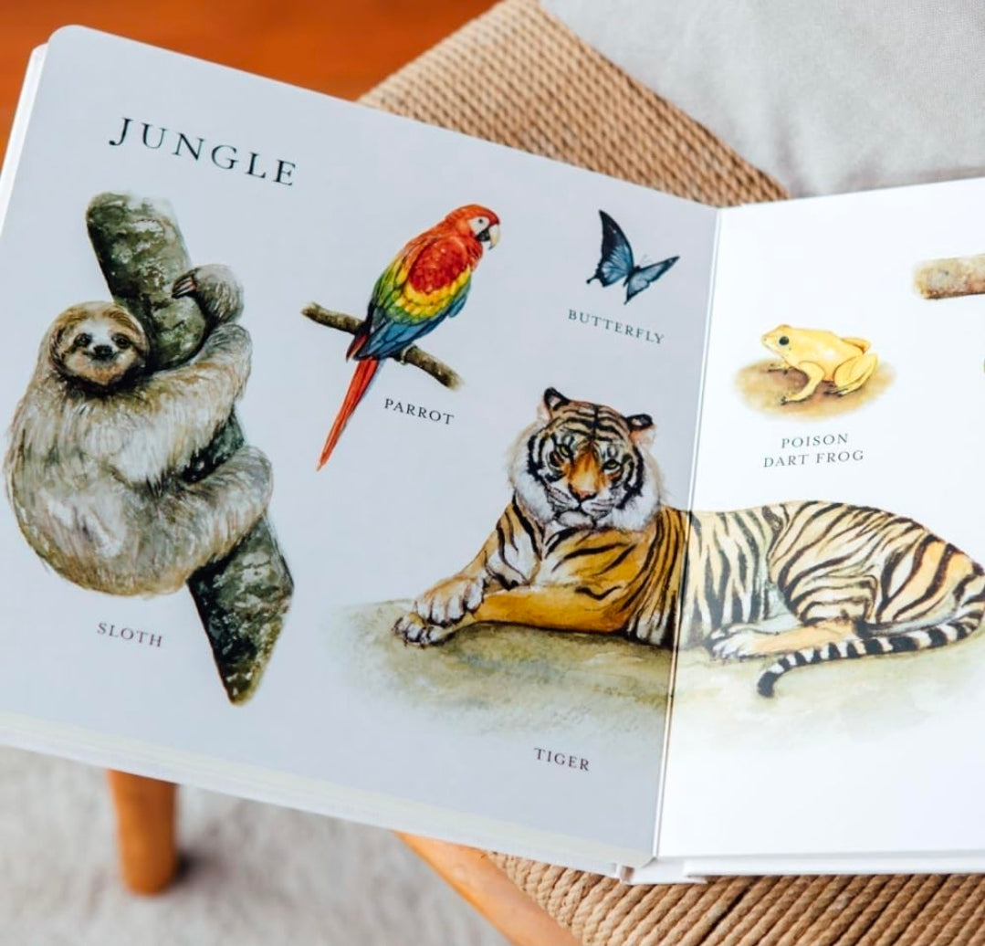 Our Big Book of Animals