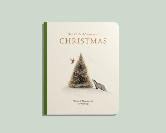 Our Little Adventure at Christmas