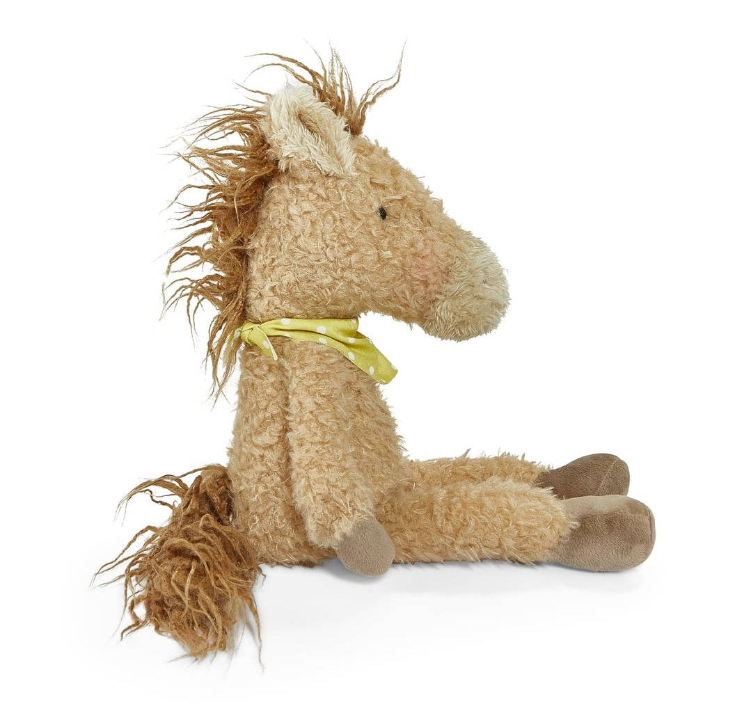 Pony Boy the Horse