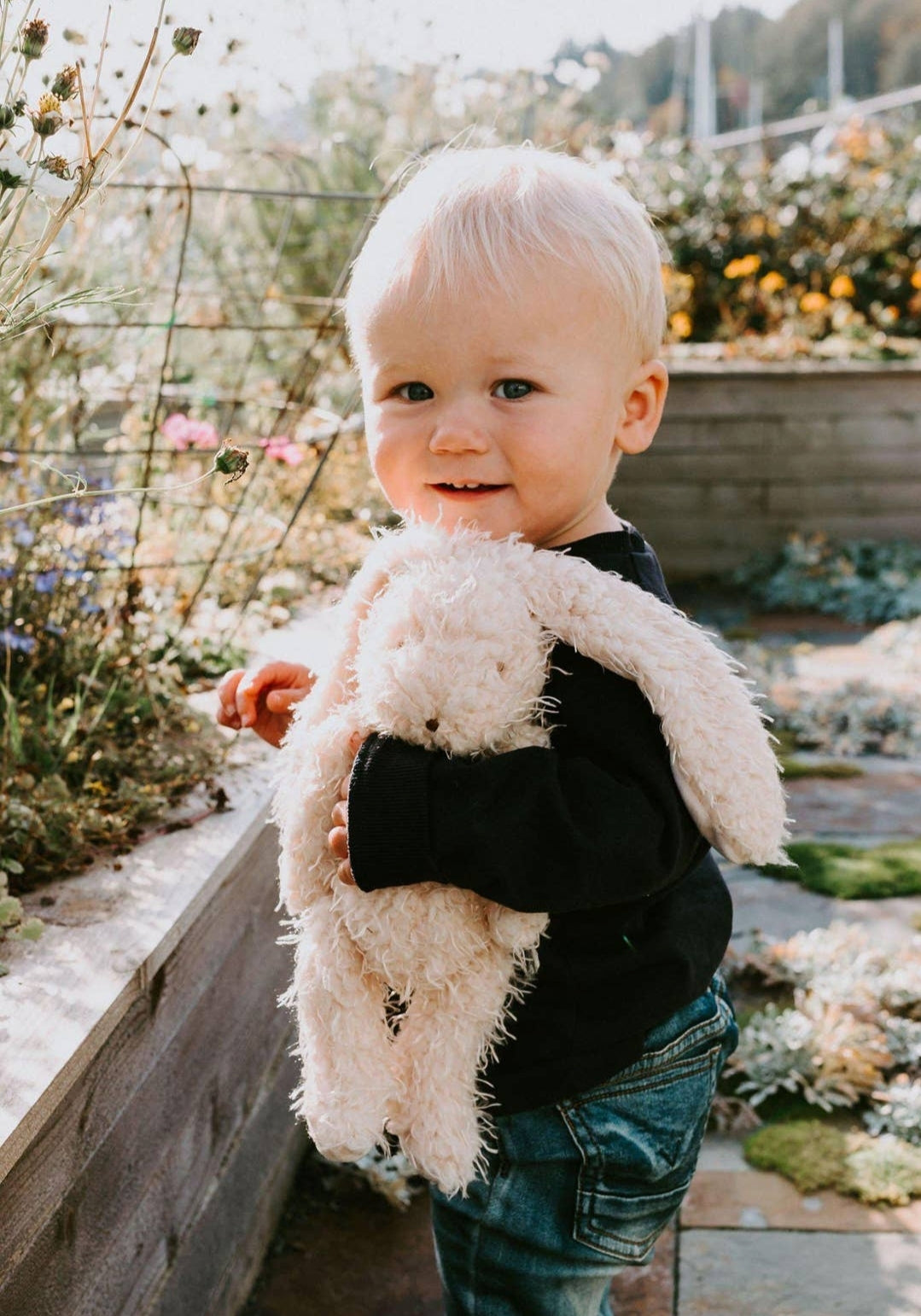 Harey the Bunny