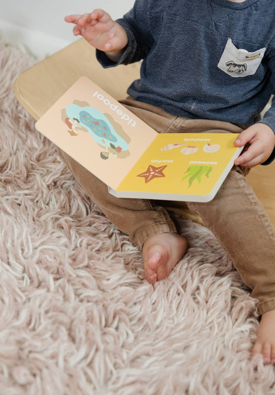 Beach Baby Board Book