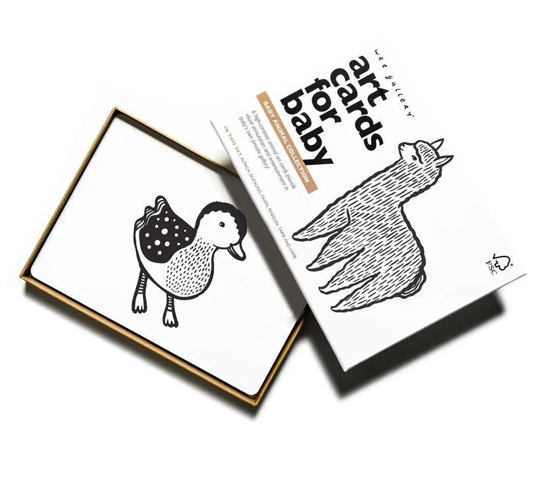 Art Cards for Baby- Baby Animals