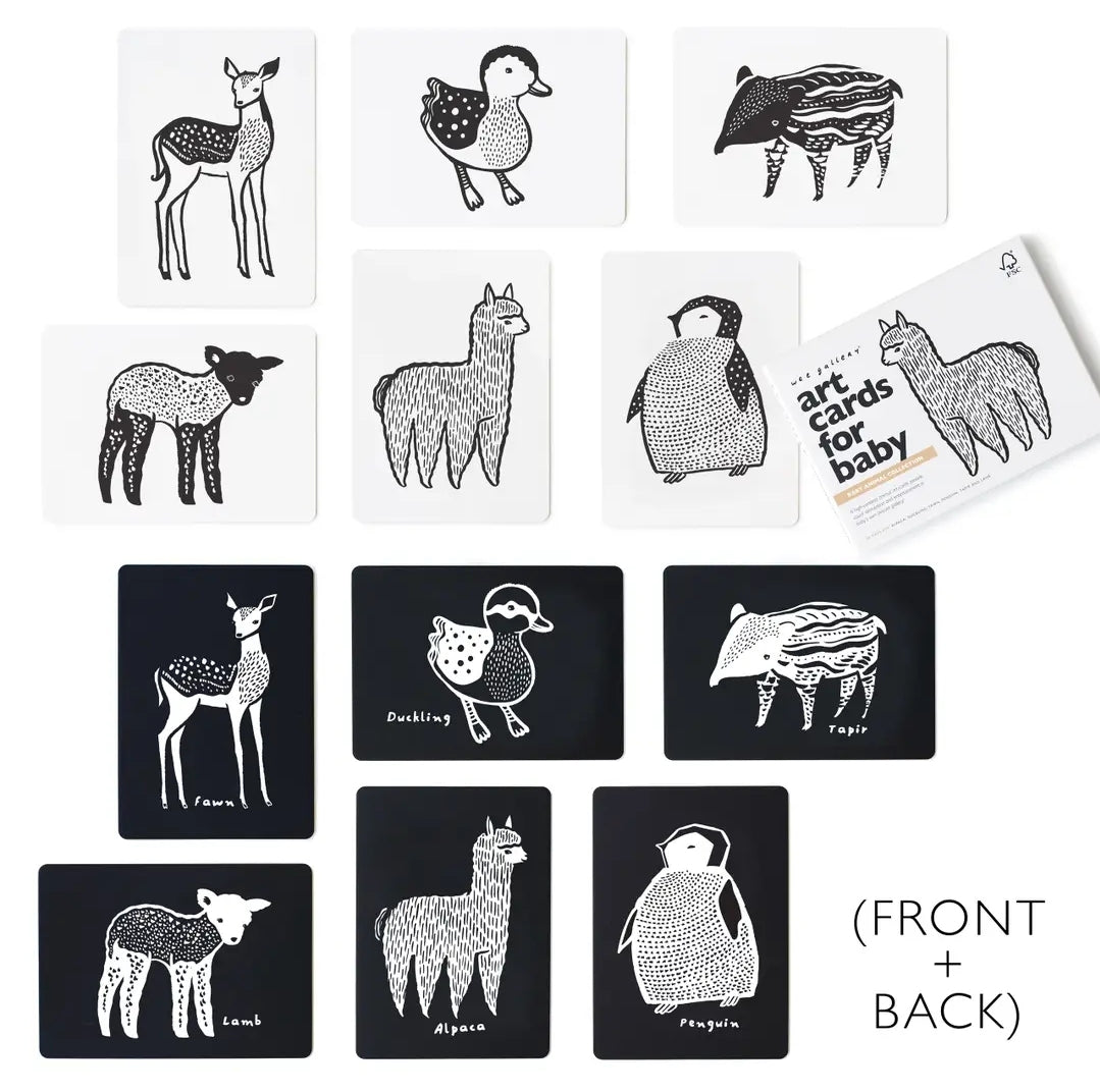 Art Cards for Baby- Baby Animals