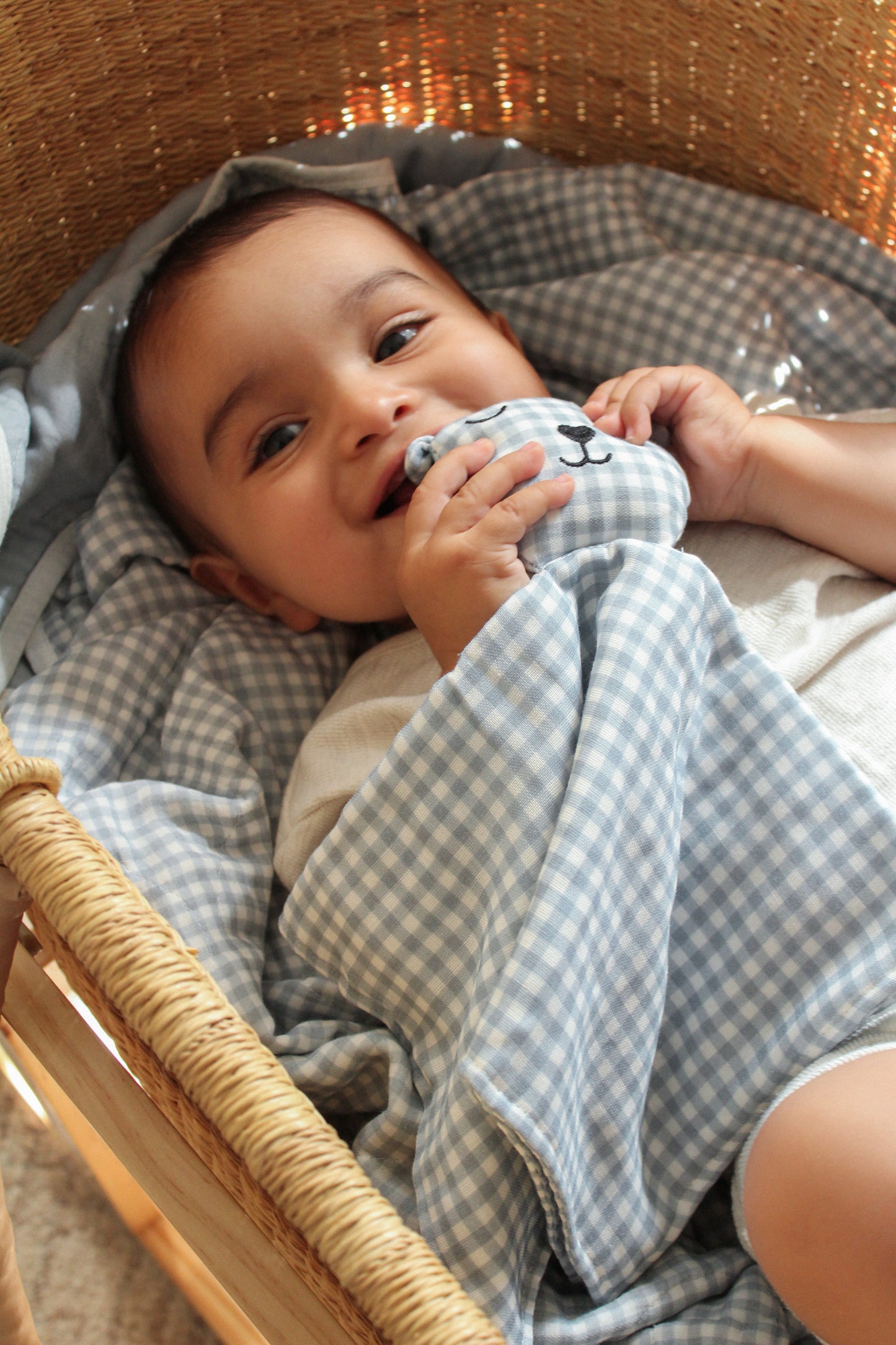 Dusty Blue Solids + Gingham Blanket + Bear Lovey SET