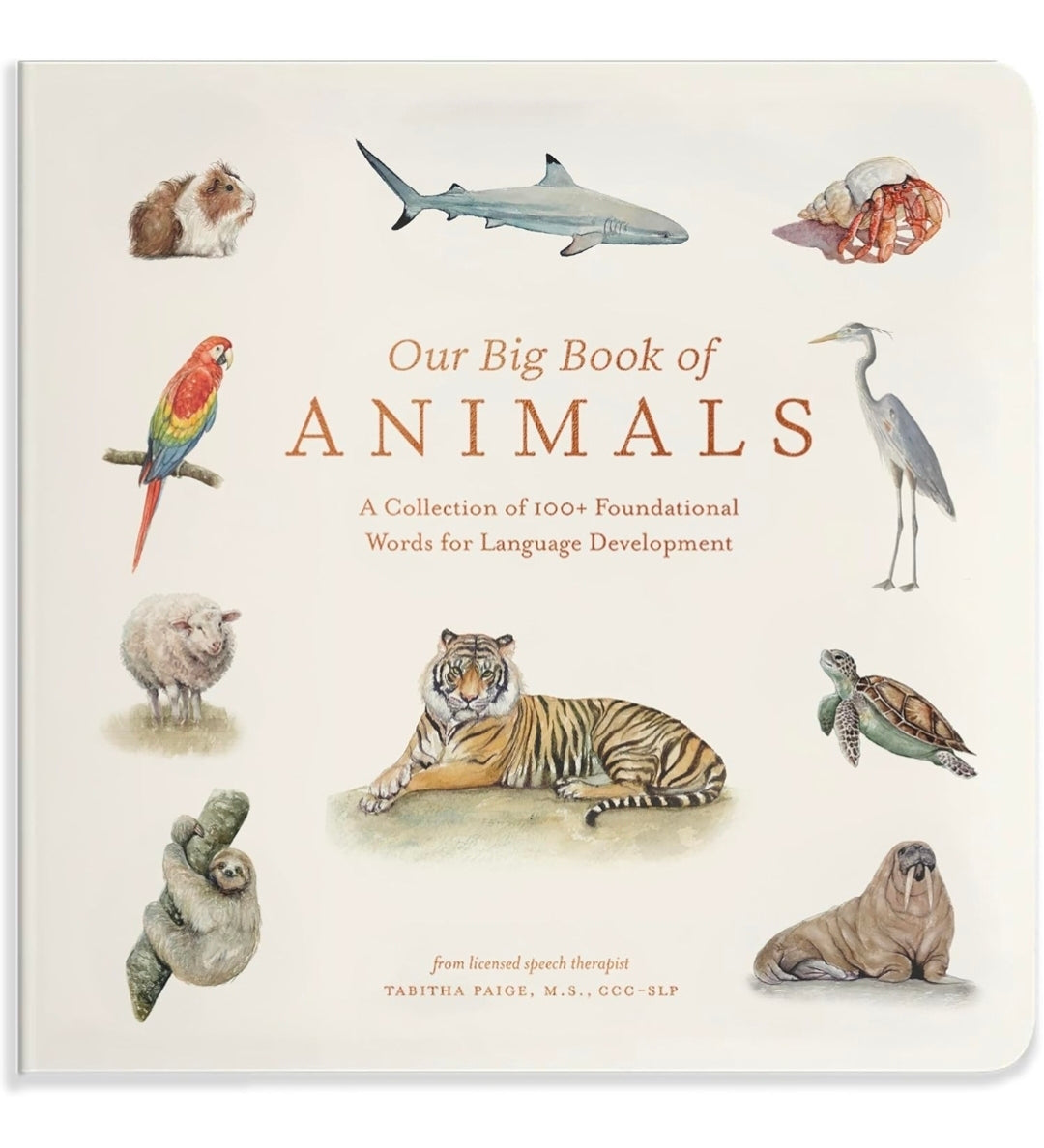 Our Big Book of Animals