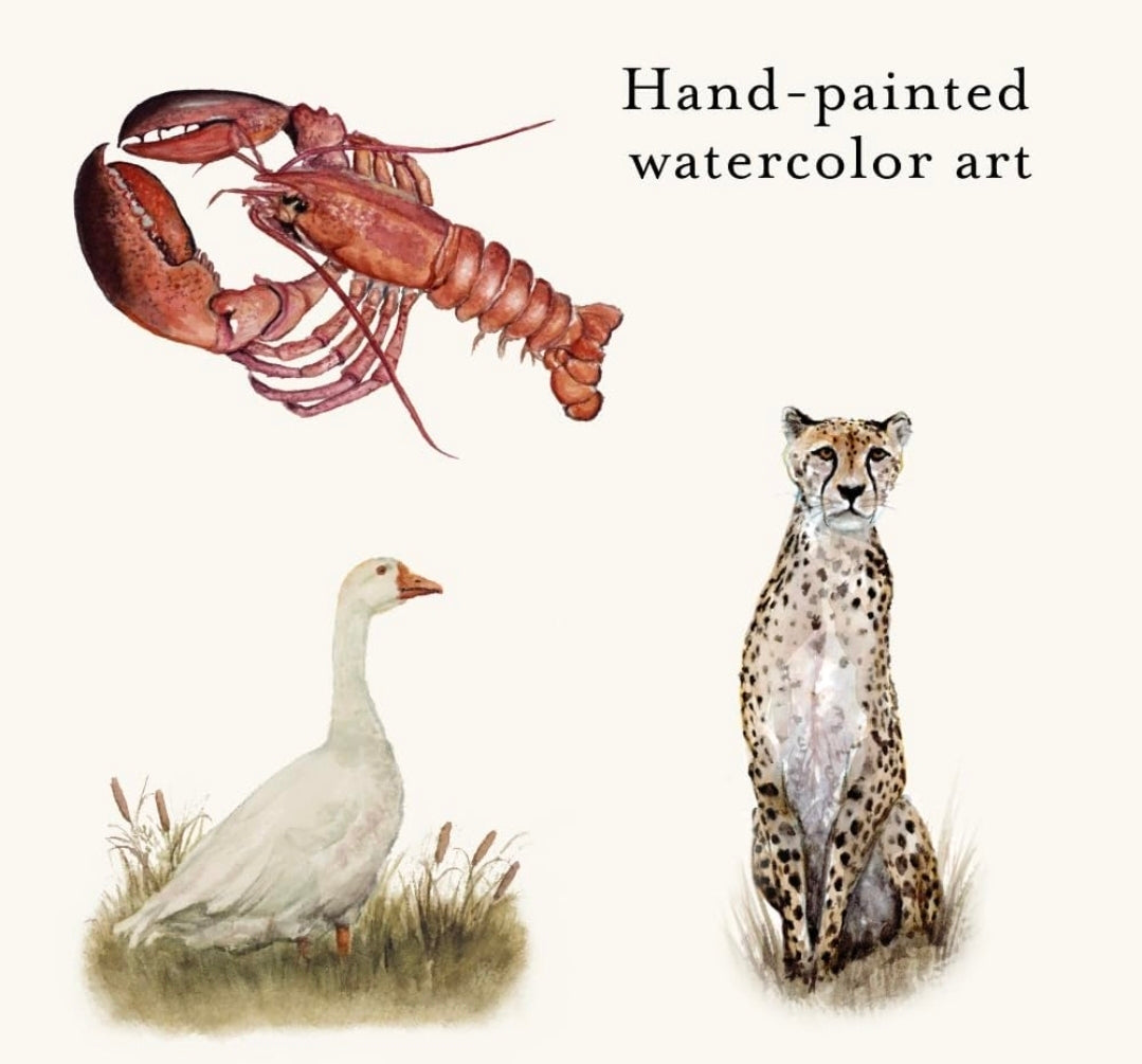 Our Big Book of Animals