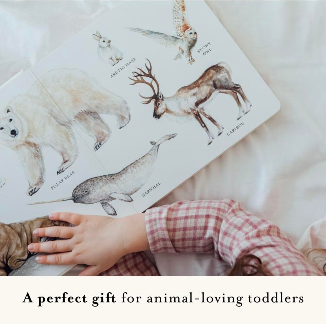 Our Big Book of Animals