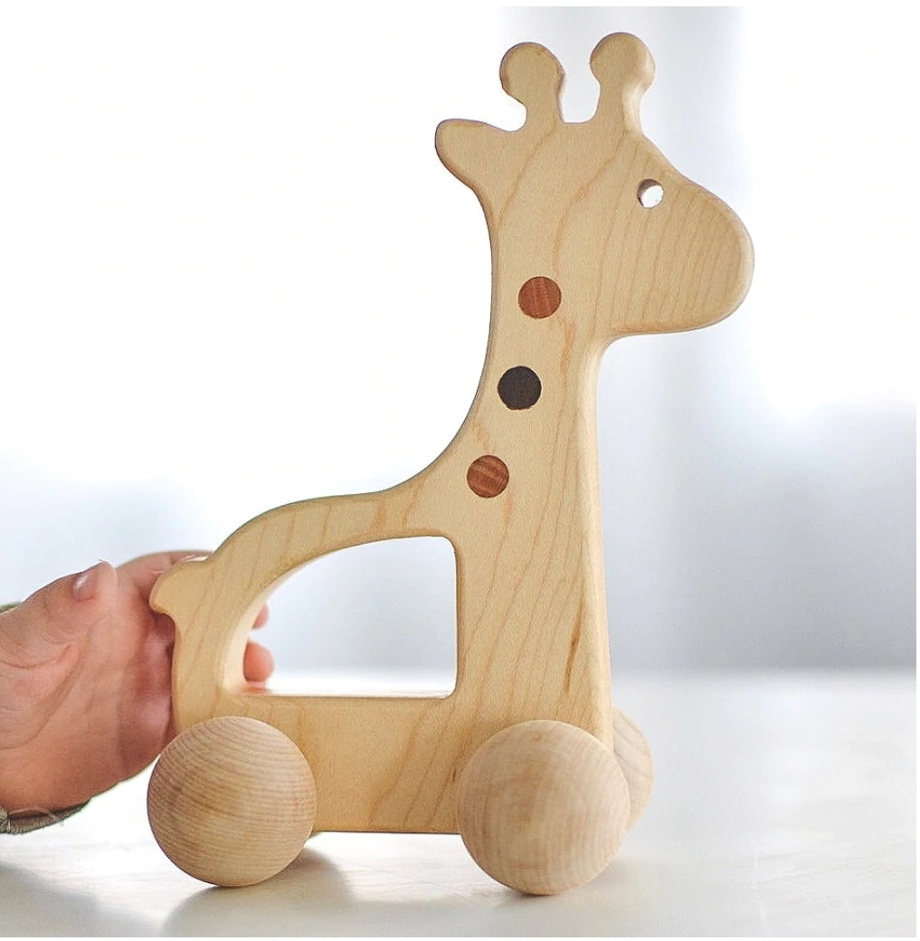 Giraffe Push Toy